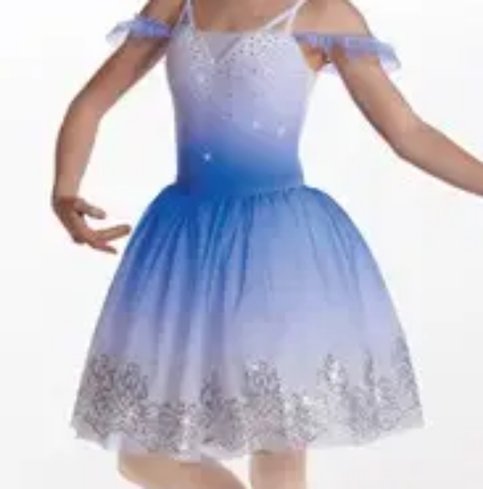 Blue And White Ombre Ballet Costume